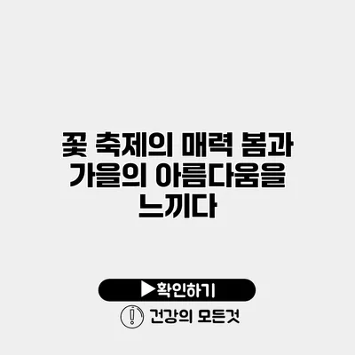 꽃 축제의 매력 봄과 가을의 아름다움을 느끼다