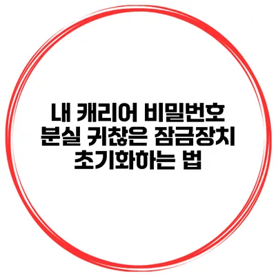 내 캐리어 비밀번호 분실 귀찮은 잠금장치 초기화하는 법