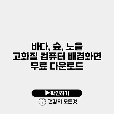 바다, 숲, 노을 고화질 컴퓨터 배경화면 무료 다운로드