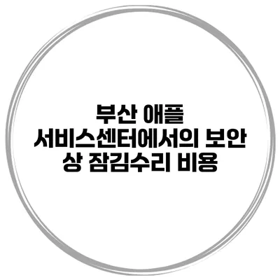 부산 애플 서비스센터에서의 보안 상 잠김수리 비용