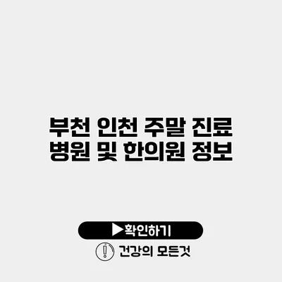 부천 인천 주말 진료 병원 및 한의원 정보