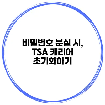 비밀번호 분실 시, TSA 캐리어 초기화하기