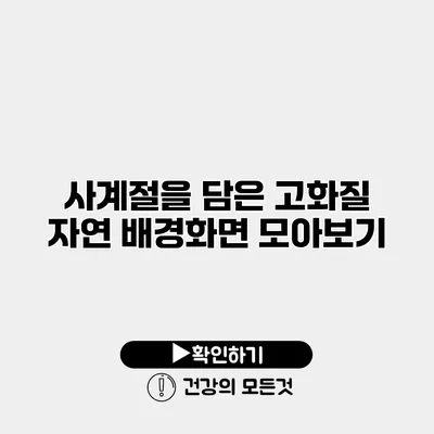 사계절을 담은 고화질 자연 배경화면 모아보기