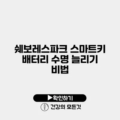 쉐보레스파크 스마트키 배터리 수명 늘리기 비법