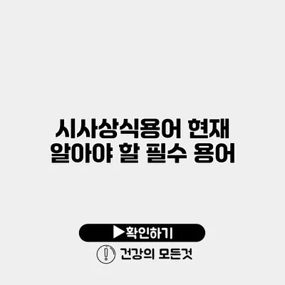 시사상식용어 현재 알아야 할 필수 용어