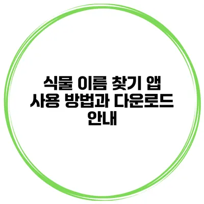 식물 이름 찾기 앱 사용 방법과 다운로드 안내