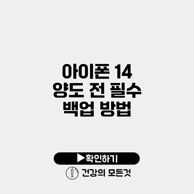 아이폰 14 양도 전 필수 백업 방법