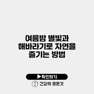 여름밤 별빛과 해바라기로 자연을 즐기는 방법