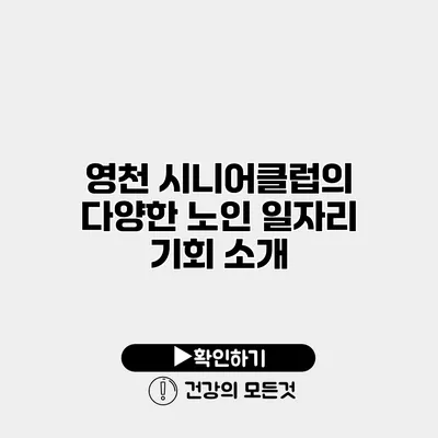 영천 시니어클럽의 다양한 노인 일자리 기회 소개
