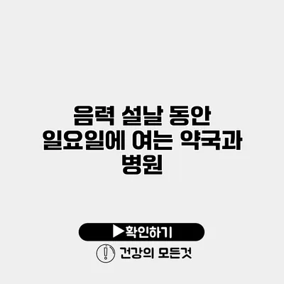 음력 설날 동안 일요일에 여는 약국과 병원