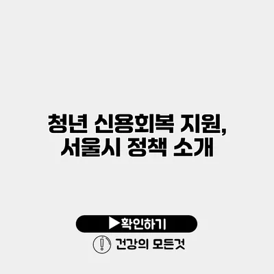 청년 신용회복 지원, 서울시 정책 소개