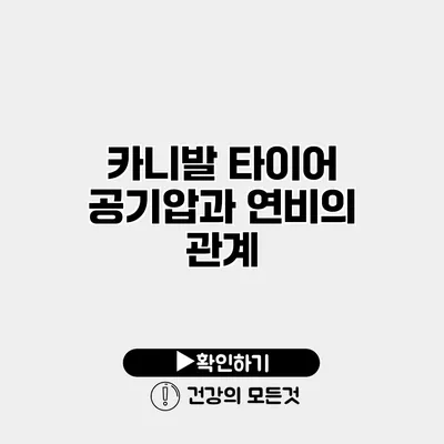 카니발 타이어 공기압과 연비의 관계