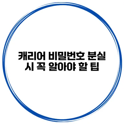 캐리어 비밀번호 분실 시 꼭 알아야 할 팁
