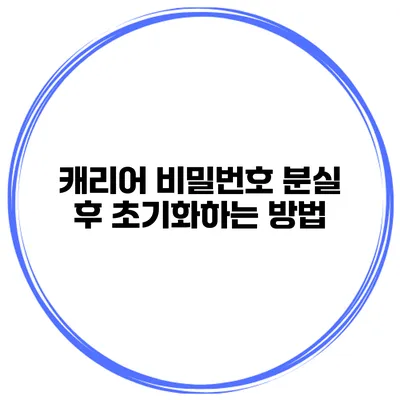 캐리어 비밀번호 분실 후 초기화하는 방법