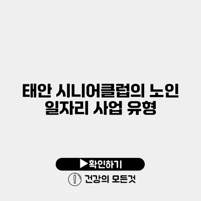 태안 시니어클럽의 노인 일자리 사업 유형