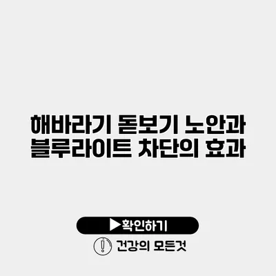 해바라기 돋보기 노안과 블루라이트 차단의 효과